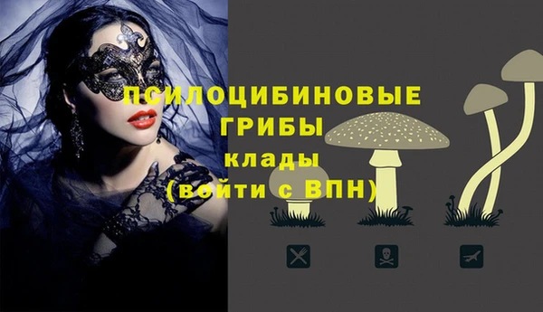 эйфоретик Арсеньев