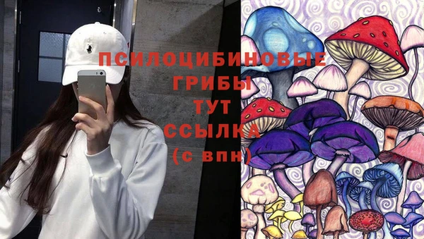 эйфоретик Арсеньев
