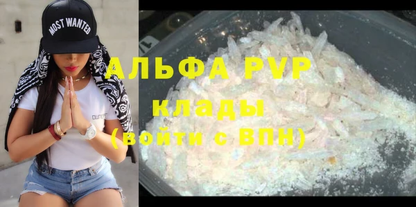эйфоретик Арсеньев