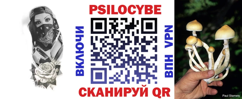 Псилоцибиновые грибы GOLDEN TEACHER  Купить  Красноперекопск 